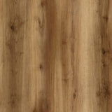 Pass-a-Grille image 1