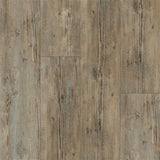 Worn Ash image 1