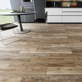 Sunset Oak image 2