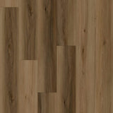 Davidoff image 1