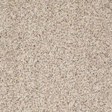 Your Move Series - The Flooring Factory