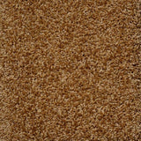 Uptown Girl Series - The Flooring Factory