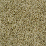 Uptown Girl Series - The Flooring Factory