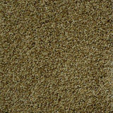 Uptown Girl Series - The Flooring Factory