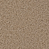 Cedar Creek Series - The Flooring Factory