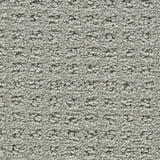 Healthy Touch - Concerto - The Flooring Factory