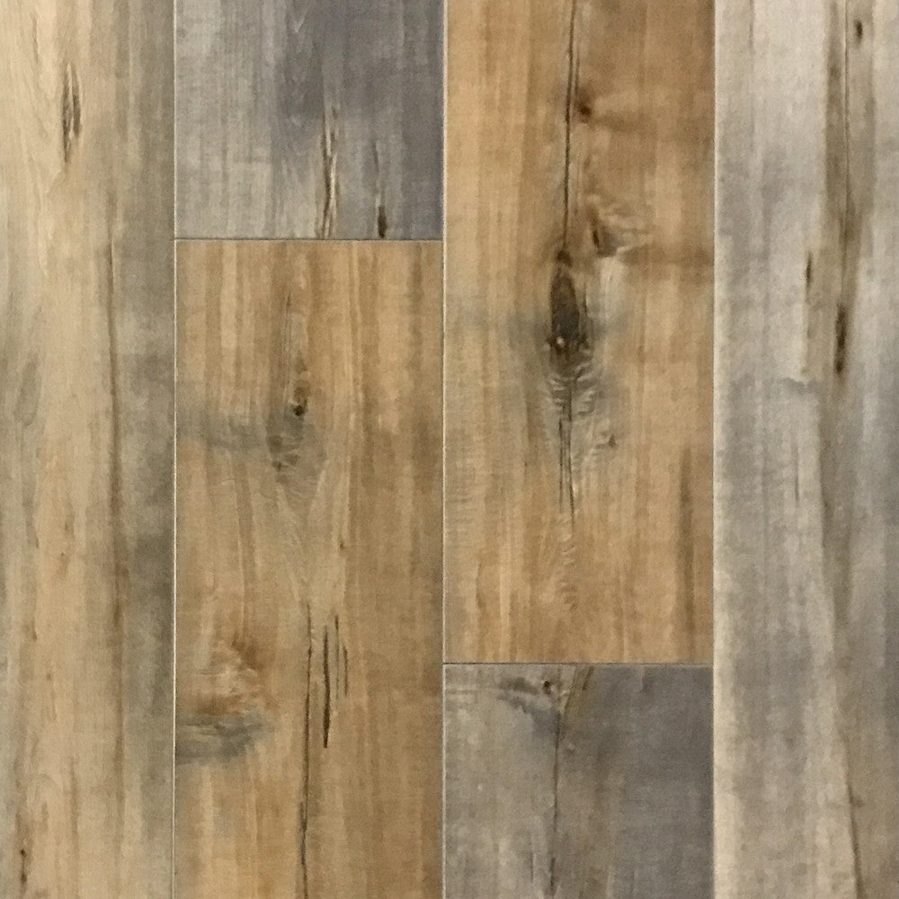 Menards Expressa 6mm Click Vinyl Plank Flooring Floor Roma