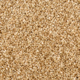 Sensational Series - The Flooring Factory