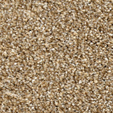 Sensational Series - The Flooring Factory