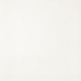 EXPANSE™ - Thin Line Glazed Porcelain Tile by Emser Tile - The Flooring Factory