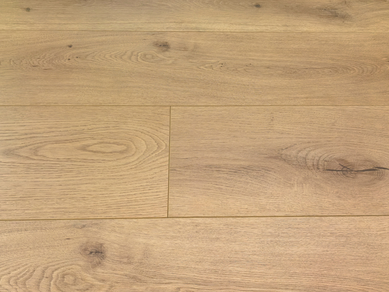 Stellana- EVOLVED Series by McMillan | The Flooring Factory