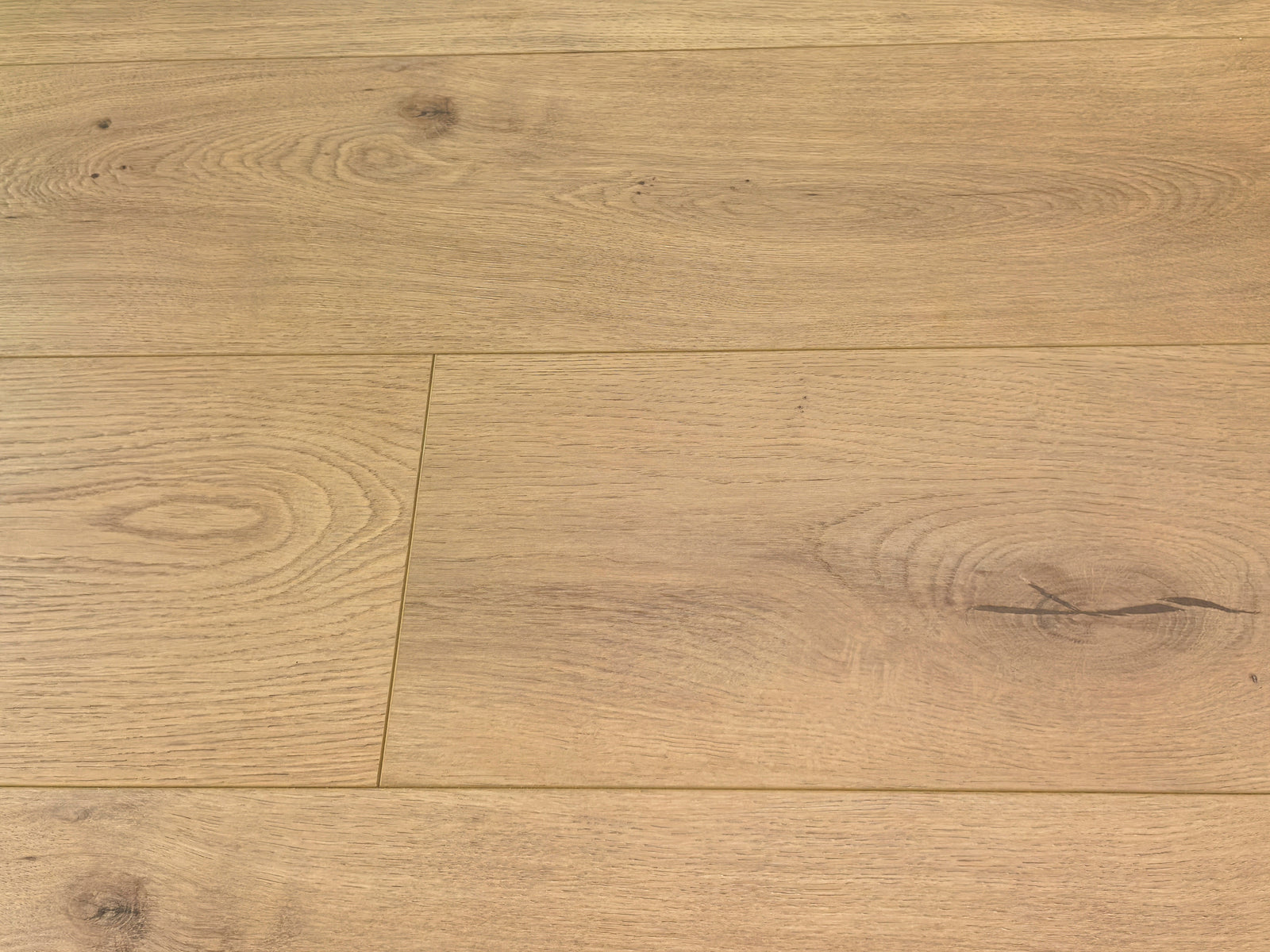 Stellana- EVOLVED Series by McMillan | The Flooring Factory