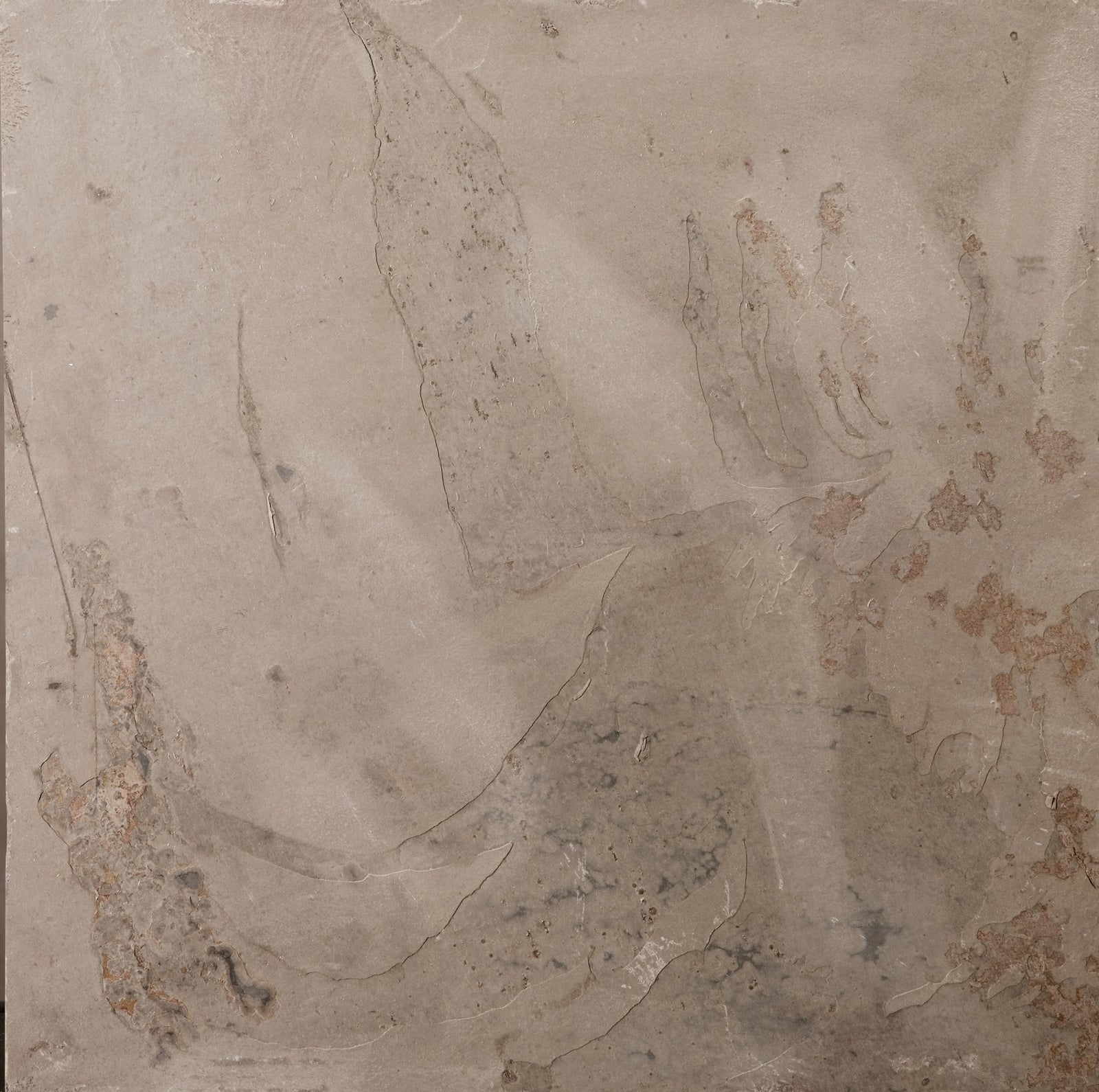 AUTUMN LILAC COLLECTION™ - Slate & Quartzite Wall Tile by Emser
