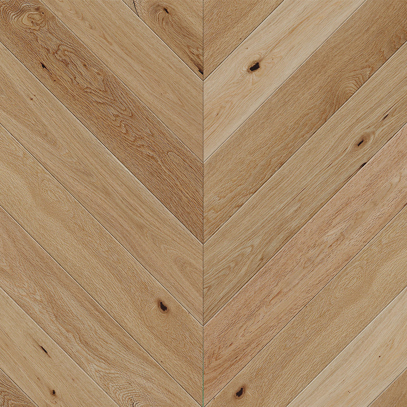 Bella 504-Bella Collection- Engineered Hardwood Flooring by Vandyck - The Flooring Factory