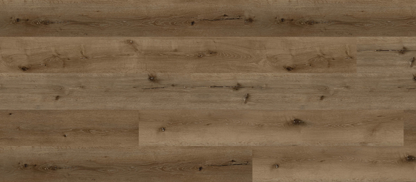 Bear Oak - The Woodland Oak Collection - Waterproof Flooring by Republic - The Flooring Factory