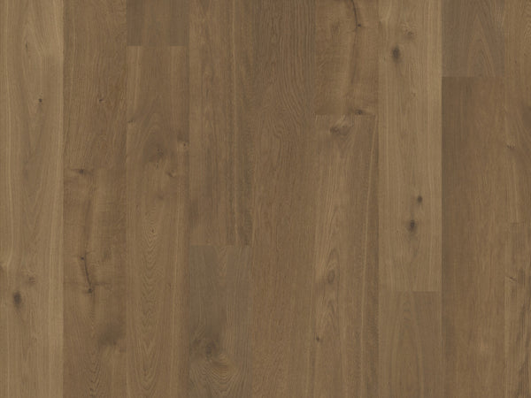 Alpine-Terra Collection- Engineered Hardwood Flooring by DuChateau - The Flooring Factory