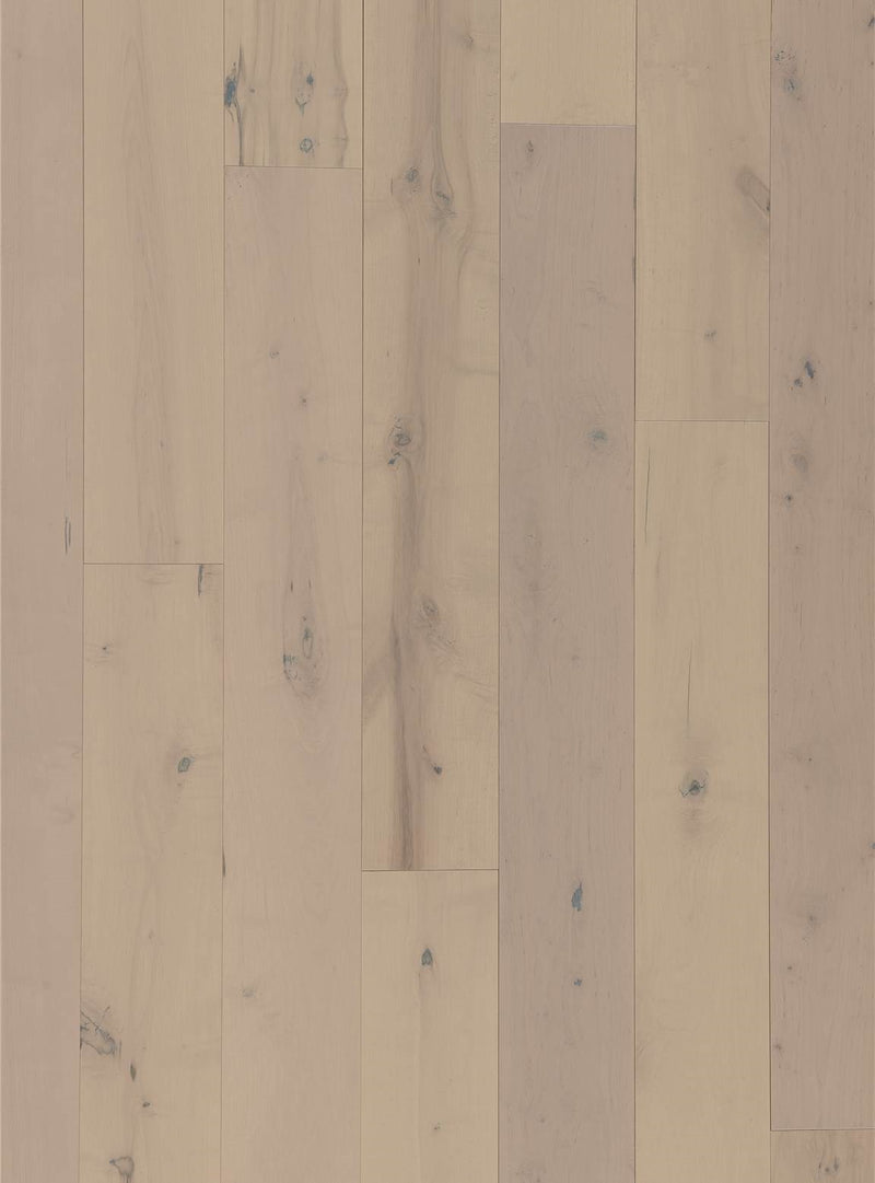 N. American Maple Ashley - Waterford Collection - Engineered Hardwood Flooring by LM Flooring - The Flooring Factory