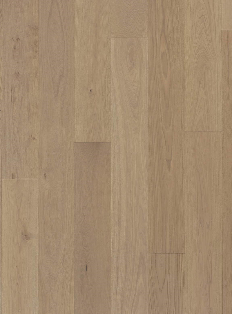 Georgetown- Hermitage Collection - Engineered Hardwood Flooring by LM Flooring - The Flooring Factory
