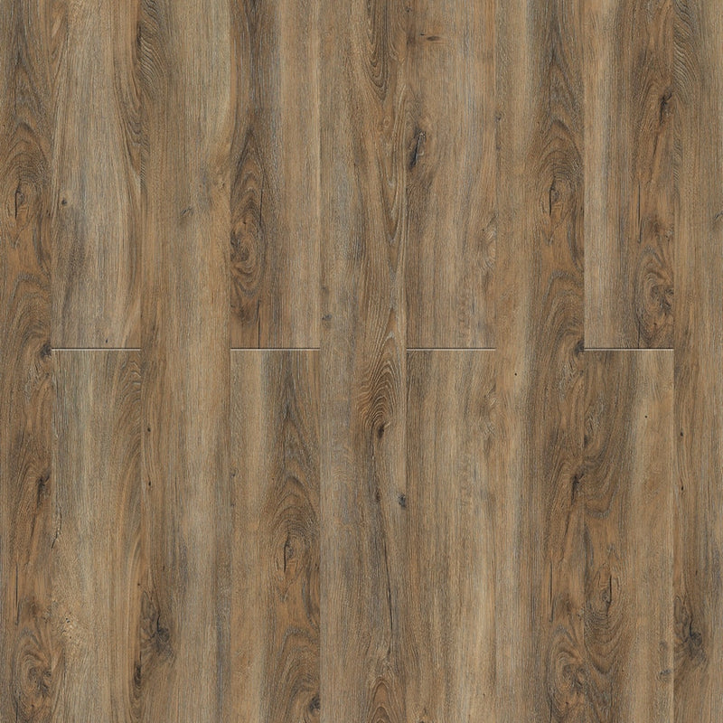 Bay of Plenty - The New Standard II Collection - Vinyl Flooring by Engineered Floors - Vinyl by Engineered Floors