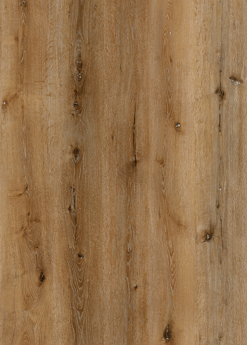 Sequoia - Natural Essence PLUS Collection - Waterproof Flooring by Lions Floor - Waterproof Flooring by Lions Floor