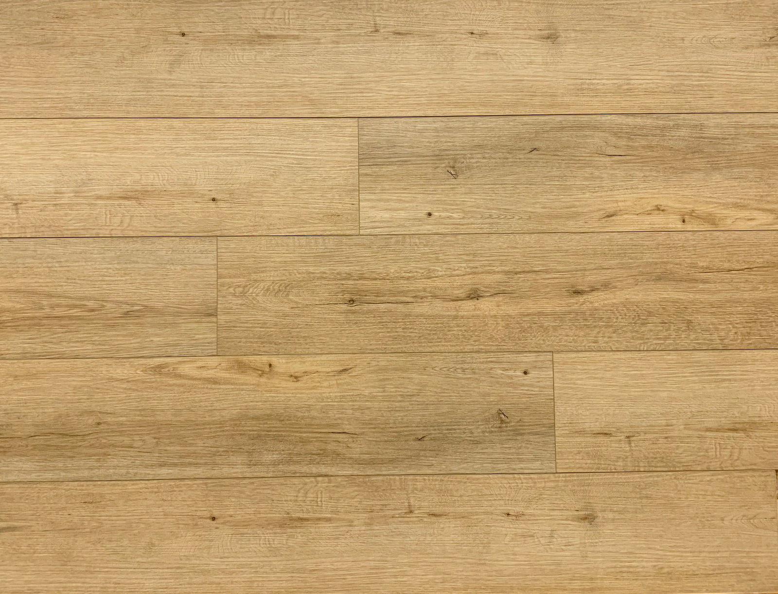 Sol_multi_1600x.jpg?v=1672097454