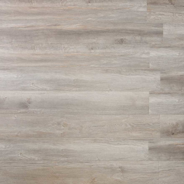 WINSTON - American Heritage Collection - Laminate Flooring by Infinity Floors - Laminate by Infinity Floors