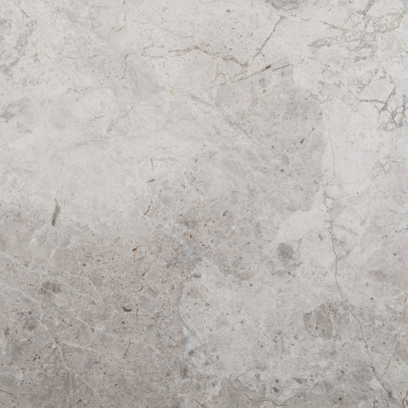 SILVER COLLECTION™ - Marble Polished/Honed Tile by Emser Tile - The Flooring Factory