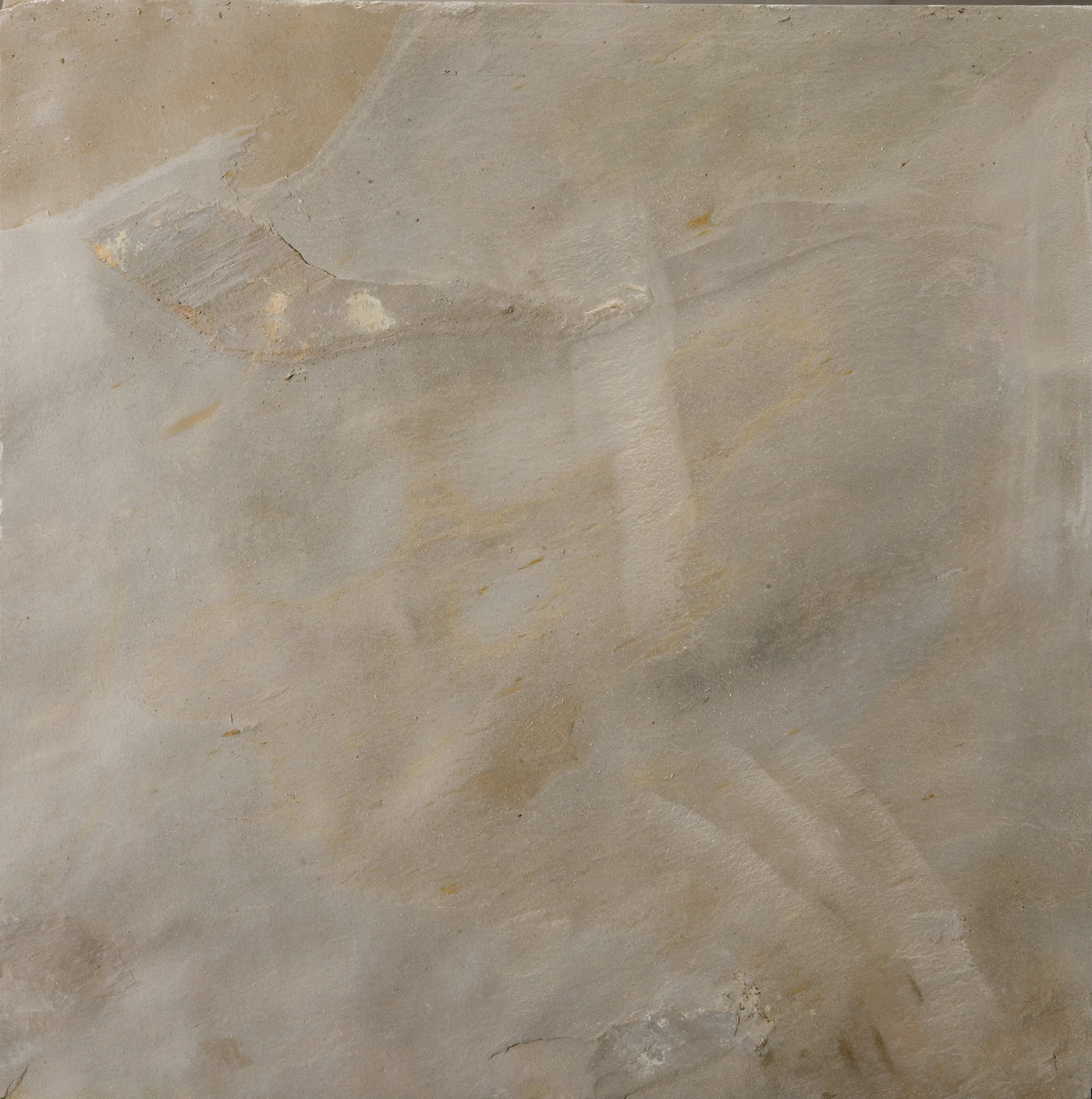 AUTUMN LILAC COLLECTION™ - Slate & Quartzite Wall Tile by Emser